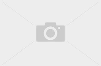 Halfords Air Filter HAF305