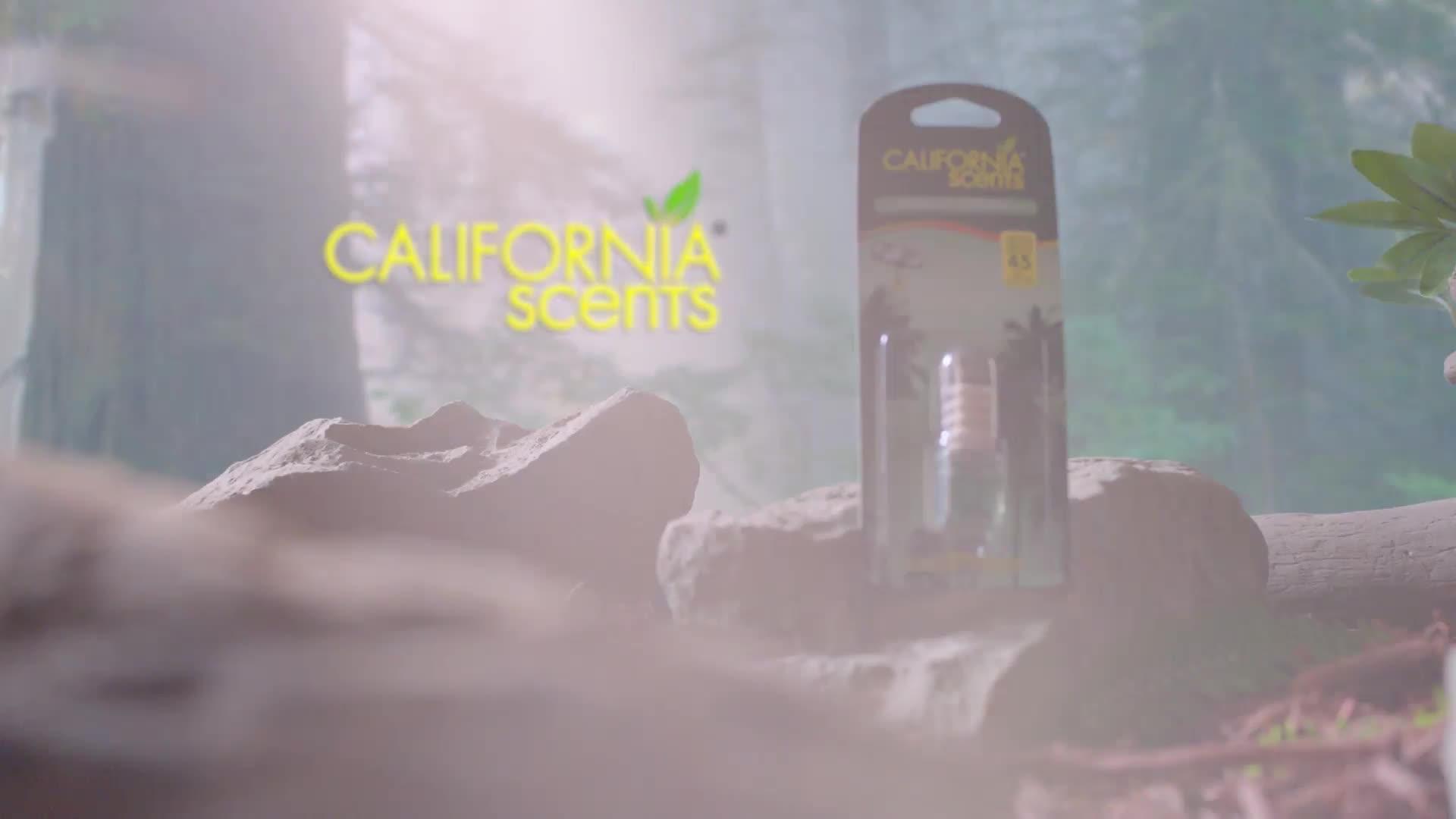 California Scents Hanging Vial Air Freshener - Red Wood Streams