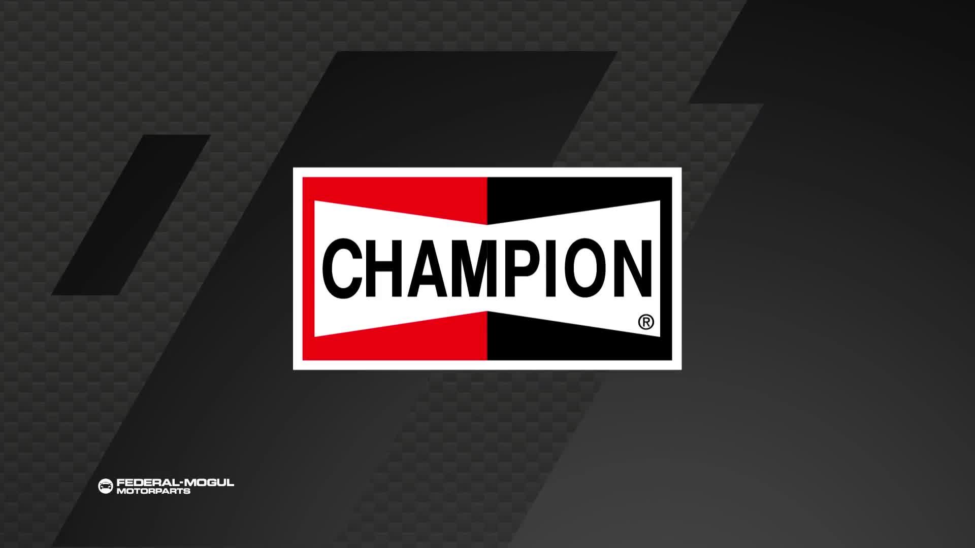 Champion Motorcycle Oil Filter COF301